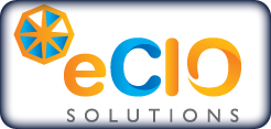 eCIO Solutions eCIO Solutions