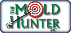 The Mold Hunter The Mold Hunter